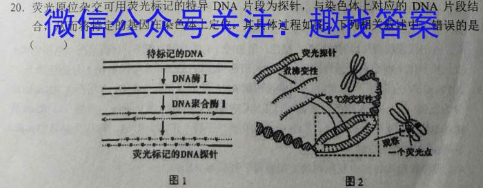 2023合肥市二模高三4月联考生物