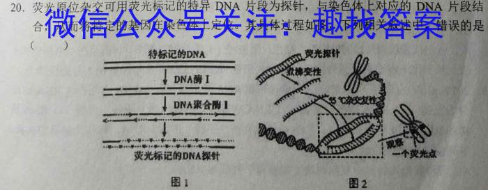 2023年广东省普通高中综合能力测试（5月）生物试卷答案