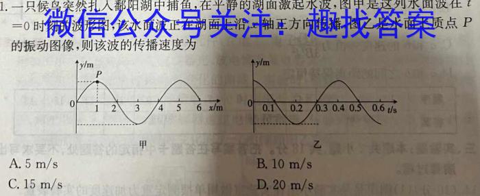 ʡ2023꼶5xԾ