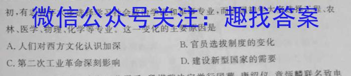 陕西省2024-2023学年汉阴县八年级期中学科素养检测(23-CZ201b)历史