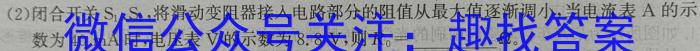 安徽省皖北五校2023届高三第二次五校联考物理.