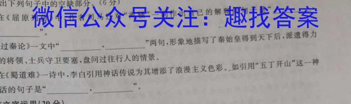 江淮名卷·2023年安徽中考模拟信息卷（六）语文