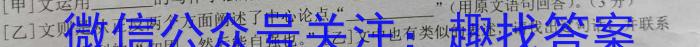 江淮名卷·2023年安徽中考模拟信息卷（六）语文