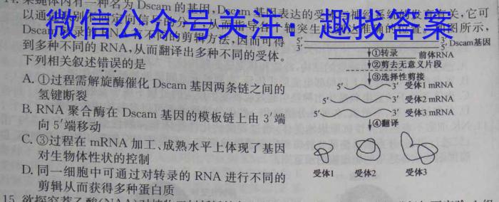 江西省2023年初中学业水平考试样卷（五）生物试卷答案