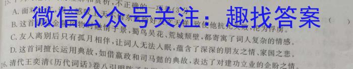 2023届全国百万联考高三5月联考(517C)语文