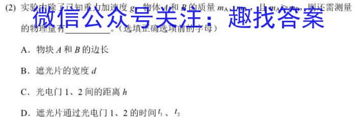 2023届全国普通高等学校招生统一考试(新高考)JY高三终极一考卷(二).物理