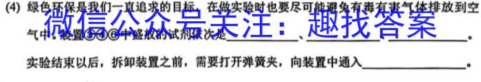 2023届衡中同卷押题卷 湖北专版(一)二三化学