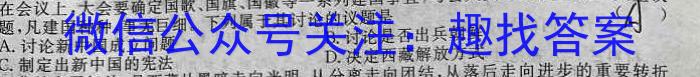 2023届中考导航总复习·模拟·冲刺卷(五)5历史