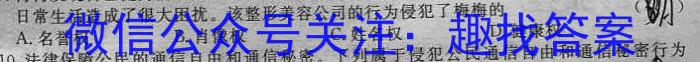 陕西省2024-2023学年靖、府、绥、米四校高二年级下学期第一次联考试题(232604Z)q地理