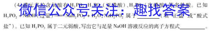 江西省2023年初中学业水平考试适应性试卷（二）化学
