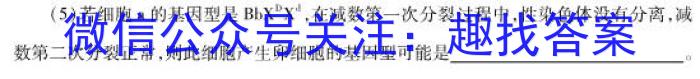 2023年重庆大联考高二年级4月期中考试（23-417B）生物