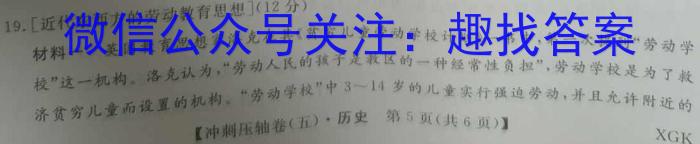 皖江名卷·安徽省庐江县2023届初中毕业班第三次教学质量抽测历史