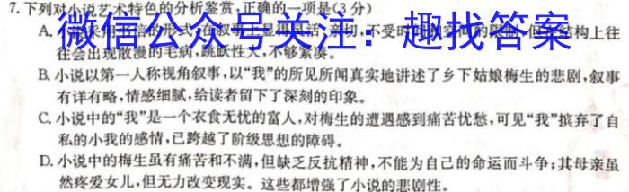 2022-2023学年湖北省高二考试4月联考(23-376B)语文