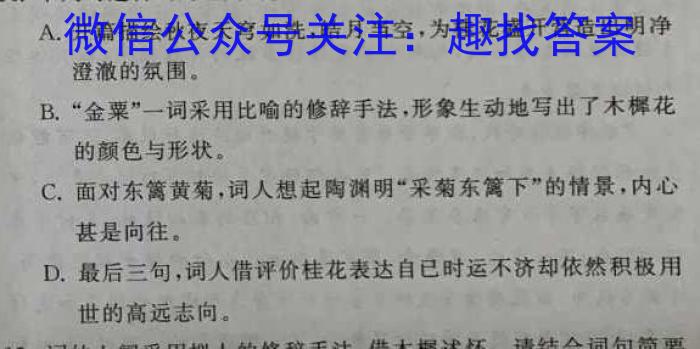 安徽省芜湖市无为市2022-2023学年九年级中考模拟检测（二）语文