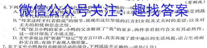 百校联赢·2023安徽名校大联考最后一卷语文