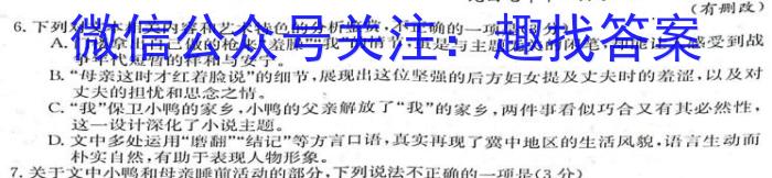 河北省保定市2022~2023学年度高二下学期5月联考(23-489B)语文