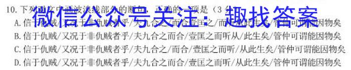 2023年河北大联考高三年级5月联考（524C·HEB）语文