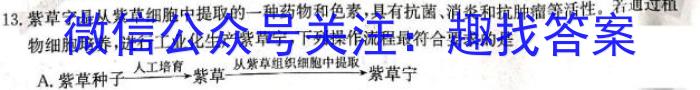 湖北省2022-2023学年度下学期期中新洲区部分学校高中二目标检测生物