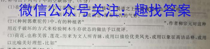 保山市2023年下学期第二次高三质量监测语文