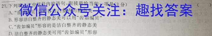 安徽省2022-2023学年九年级第一次调研考试（23-CZ143c）语文