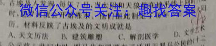 2023年陕西大联考高三年级5月联考（578C-乙卷）历史
