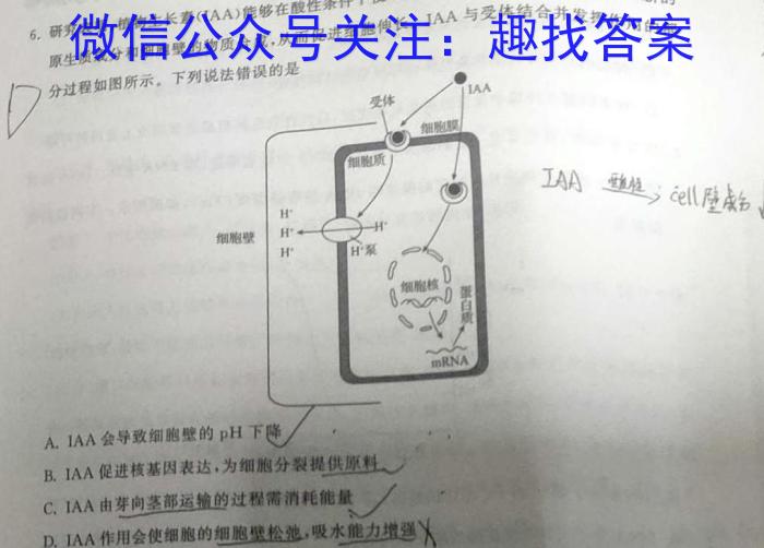 2023年曲靖市民族中学高一下学期期中考试(23575A)生物试卷答案