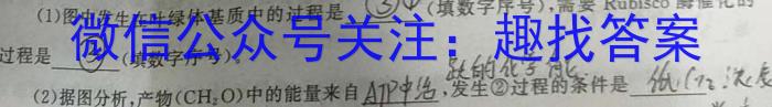 2023年河南省初中学业水平暨高级中等学校招生模拟考试（四）生物