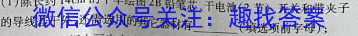 安师联盟·安徽省2023年中考仿真极品试卷（一）物理`