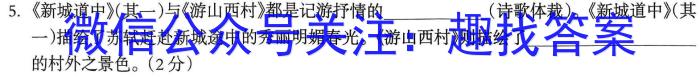 2023年安徽省初中毕业学业考试模拟仿真试卷（六）语文