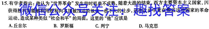 安徽省颍上县2023届九年级教学质量检测（5月）历史