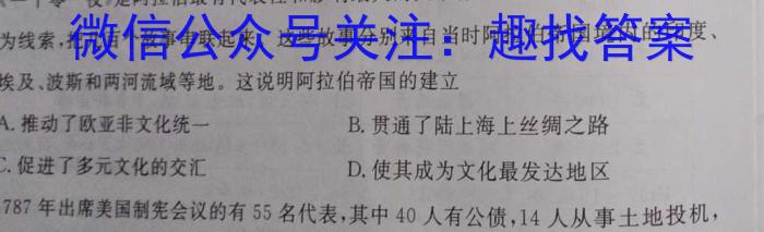 天一大联考 2022-2023学年高三考前模拟考试历史