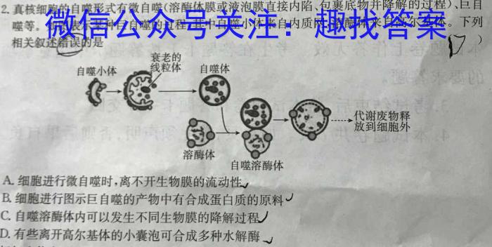2023年湖南大联考高三年级5月联考（578C·HUN）生物