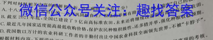 C20教育联盟2023年安徽省中考最后一卷语文