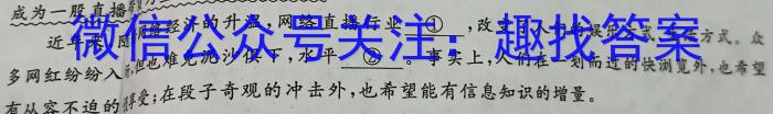 山西省2023年初中学业水平考试冲刺（二）语文