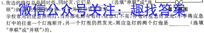 黑龙江省2022-2023学年度下学期四月份质量检测(8125B).物理