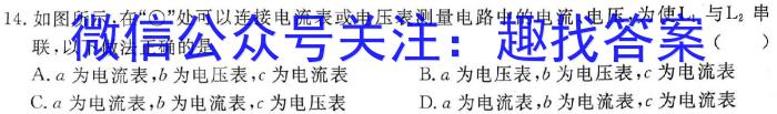 2023年普通高等学校招生统一考试 新S3·临门押题卷(一)z物理