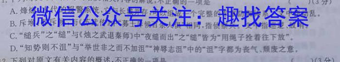 2023年安徽省初中学业水平考试 冲刺(一)语文