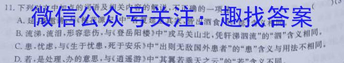 世纪金榜 2023年高考密破考情卷 新高考版(一)语文