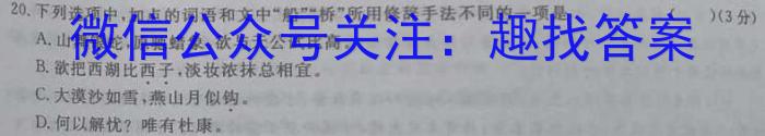 皖智教育·省城名校2023年中考最后三模（二）语文