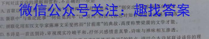 炎德英才大联考 2023年湖南新高考教学教研联盟高二5月联考语文