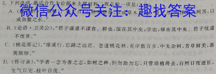 [高考仿真模拟]2023届九师联盟高三年级5月质量检测（XG）语文