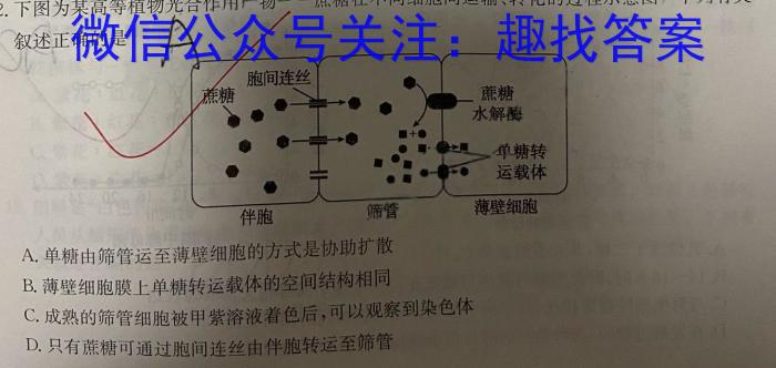 安徽省2022-2023学年度九年级第二次模拟考试生物试卷答案