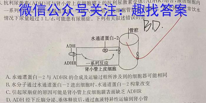 2023届普通高等学校招生全国统一考试冲刺预测·全国卷 EX-E(五)生物试卷答案
