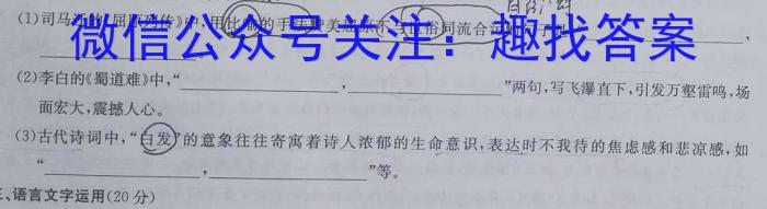 2023年湖南省普通高中学业水平合格性考试高一仿真试卷(专家版四)语文