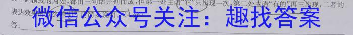 NT2023届普通高等学校招生全国统一考试模拟试卷(二)(新高考)语文