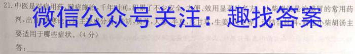 2023年陕西省九年级临考冲刺卷（A）语文