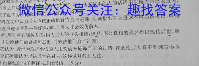 2023年普通高等学校招生全国统一考试信息模拟测试卷(新高考)(四)语文