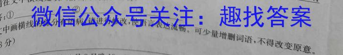 陕西省2023年普通高等学校招生全国统一考试 模拟测试(正方形包黑色菱形)语文