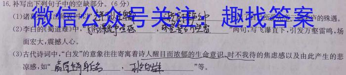 2023年普通高等学校招生全国统一考试 考前预测·精品押题卷(四)语文