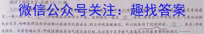 2023年葫芦岛市普通高中高三年级第二次模拟考试语文